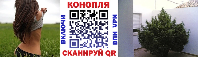 Купить наркотики сайты Шиханы ГАШИШ  Конопля  Кокаин  Амфетамин  Мефедрон 