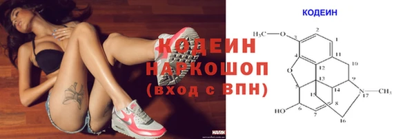 стафф Струнино