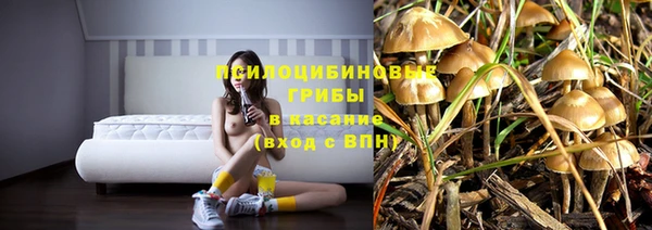 ГАЛЛЮЦИНОГЕННЫЕ ГРИБЫ Ступино