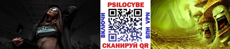 Псилоцибиновые грибы Cubensis  где купить наркоту  Шиханы 